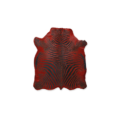 Product_partial_zebra_red_fs