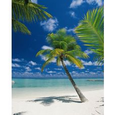 Product_partial_4-883_ariatoll_hd