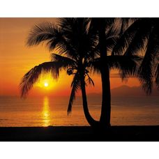 Product_partial_8-255_palmy_beach_sunrise_hd