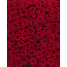 Product_partial_4-077_roses_hd