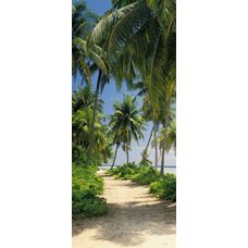 Product_partial_2-1313_way_to_the_beach_hd
