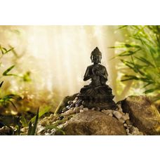 Product_partial_1-610_buddha_hd