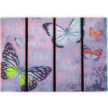 Product_recent_318_eco_master_40x60cm_008_butterfly_home