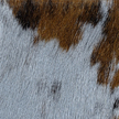 Product_recent_cow-skin-natural-brown-white_grey_1
