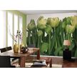 Product_recent_8-900_tulips_interieur_i