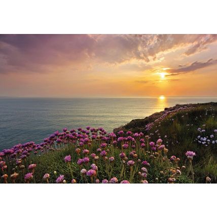 Product_main_8-901_lands_end_hd