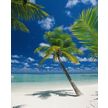 Product_recent_4-883_ariatoll_hd