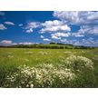 Product_recent_8-254_meadow_hd