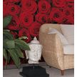 Product_recent_4-077_roses_interieur_i