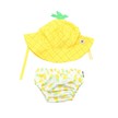 Product_recent_sdsh_pineapple_12011_1