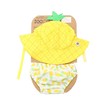 Product_recent_sdsh_pineapple_12011_2