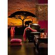 Product_recent_4-501_african_sunset_interieur_i