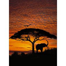 Product_partial_4-501_african_sunset_hd