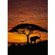 Product_recent_4-501_african_sunset_hd