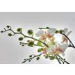Product_recent_1-608_orchidee_hd