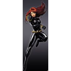 Product_partial_1-430_black_widow_hd