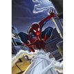 Product_recent_1-424_spiderman_rooftop_hd